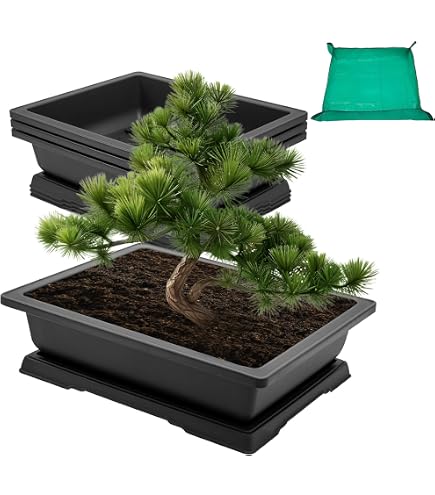 Amazon.com: CZ Grain Heavy Duty Outdoor Bonsai Pot - 18in Pot w