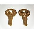 Sentry Safe Keys CUT To Your Lock/Key Letters A B C G H I J K L M O U W Z (C)
