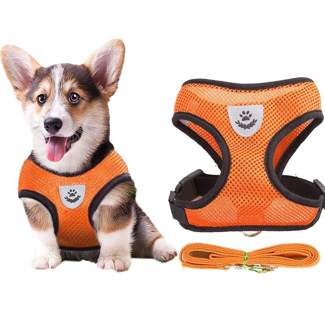 Minlop Mesh Gewebe Hundeweste Harness Weich Einstellbare Komfortable | Pet Lead-Brust Gehen Leine Hundegeschirr mit Clip, 4 Größen