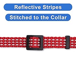 Pawtitas Reflective Cat Collar with Safety Buckle