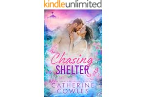 Chasing Shelter (Sparrow Falls Book 5)