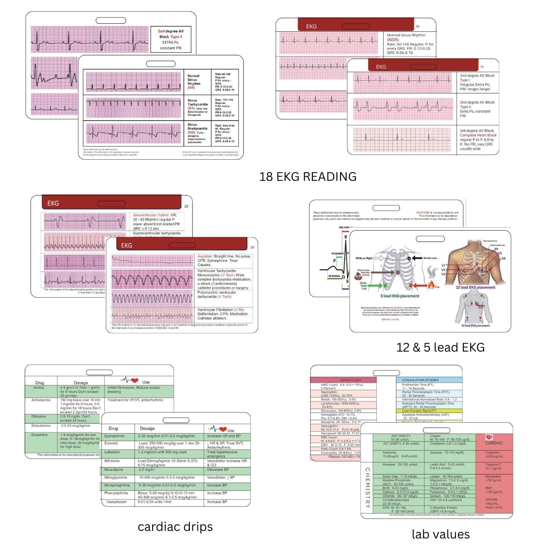 Mua 6 Set EKG Badge Card, Nurse Badge refrenece Card + (Cheat Sheet PDF ...