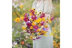 Eden Brothers Midwest Wildflower Mixed Seeds for Planting, 1/4 lb, 120,000+ Seeds with Cornflower, Candytuft, Mexican Hat | Attracts Pollinators, Plant in Spring or Fall, Zones 3, 4, 5, 6, 7, 8, 9, 10