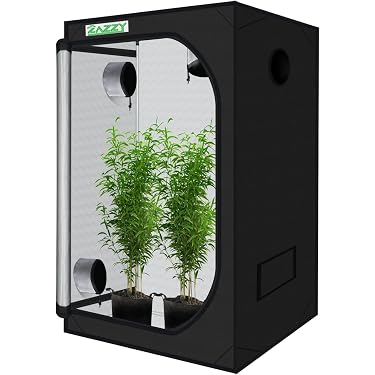 best cheap grow tent Amazon Sellers: Best Tents Größe:M (ca. 15cm) or any greens of Camping, Glamping & Tourist Quantity Included_