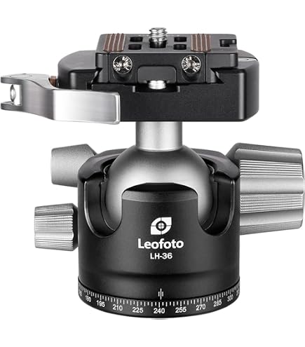 Amazon.com : Benro GX25 Two Series Arca-Swiss Style Low Profile