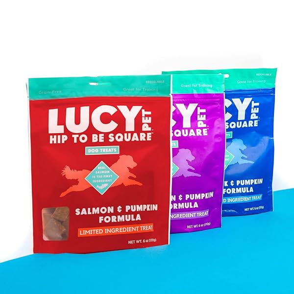 LUCY PET HIP TO BE SQUARE SALMON AND PUMPKIN DOG TREATS 6OZ