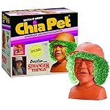 Chia Pet Stranger Things - Dustin with Seed