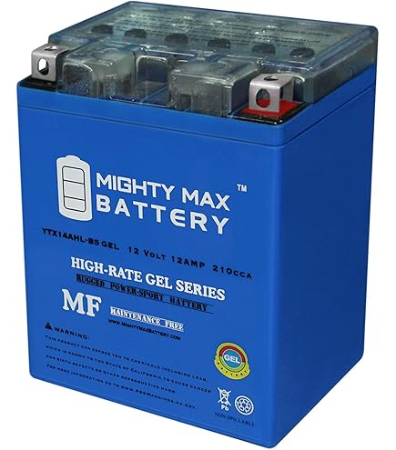 Amazon.com: YTX14AHL Gel Battery for Kawasaki EX500, KLR650, VN750
