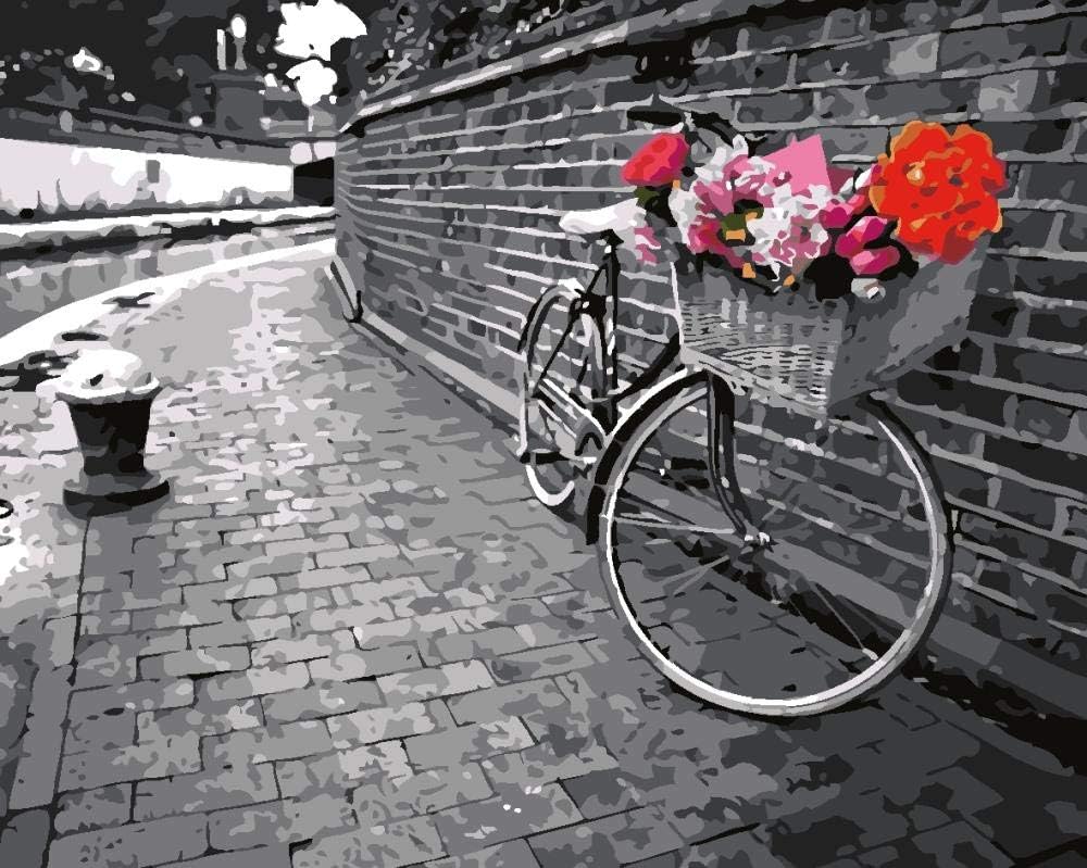 YNKNIT Diy Paint by Numbers Adults Bicycle Black And White with Brushes Acrylic Pigment DIY Canvas Painting for Adults Beginner Level Acrylics Painting Kits 16x20inch (Without Frame)