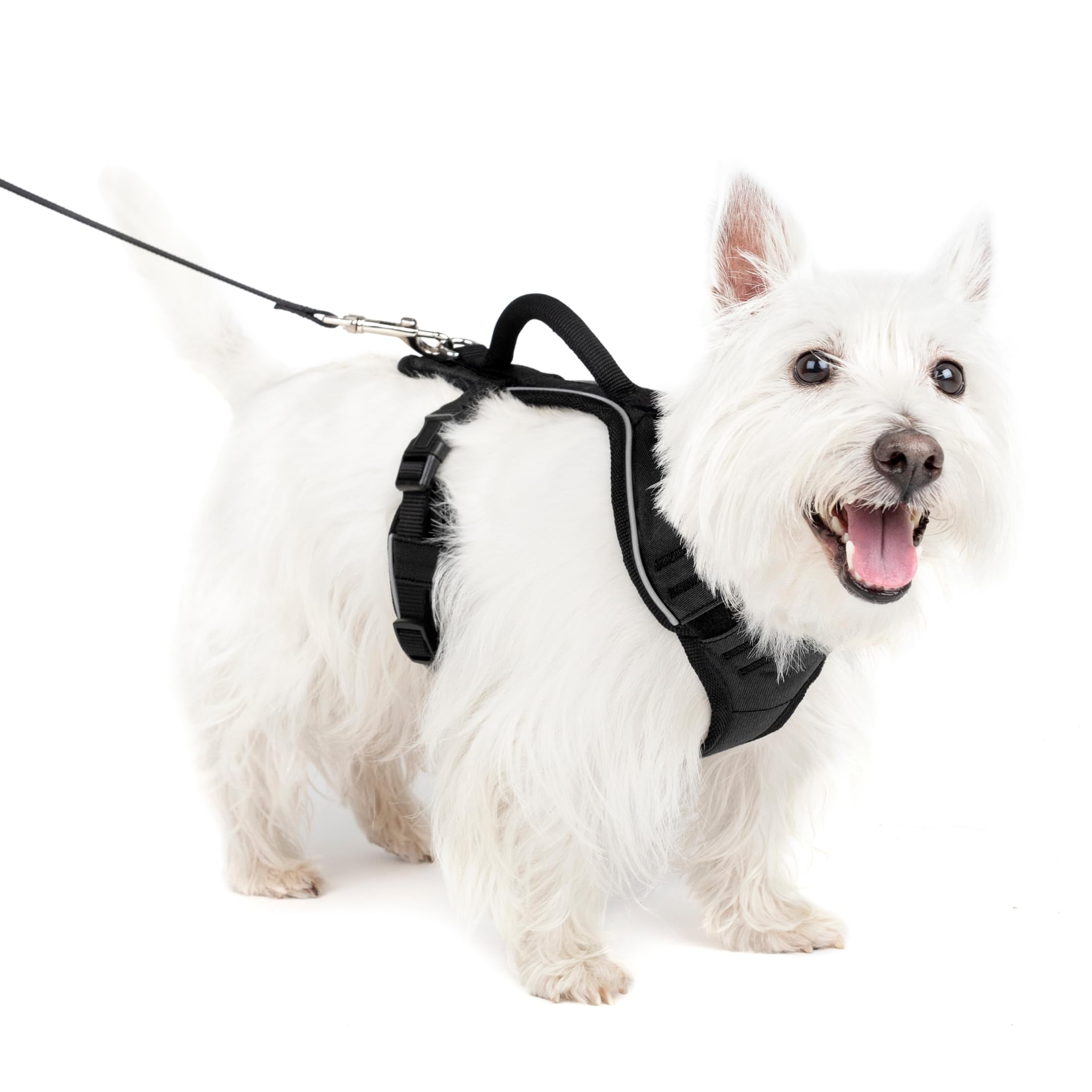 PetSafe EasySport Harness - Durable Padded Fabric, Adjustable Elastic Neckline, Rear-Leash Attachment & Nighttime Reflective Visibility - No Choke or Gag Secure Fit - Small - Black — image 1