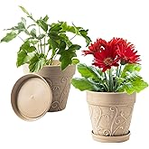 Melphoe Plant Pots Indoor with Drainage & Saucer, 2Pack 8 inch Flower Pots Outdoor Planters for Indoor Plants Garden Home Dec
