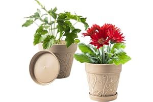 Melphoe Plant Pots Indoor with Drainage & Saucer, 2Pack 8 inch Flower Pots Outdoor Planters for Indoor Plants Garden Home Decor Cactus Succulent, Rigid Plastic (Imitation-Terracotta) Vine-Embossed