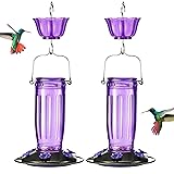 Kingsyard 2 Pack Glass Hummingbird Feeder for