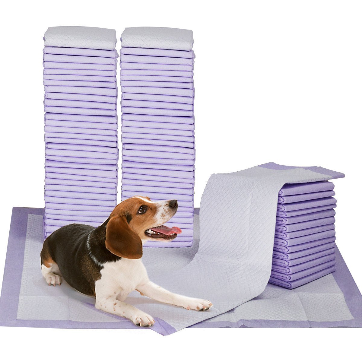 Petphabet 100 Pack Dog Pee Pads 23 by 24 Inches,Lavender Scented Dog