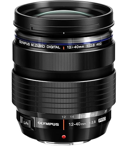 Olympus 25mm f1.8 Interchangeable Lens, V311060BU000 : Amazon.ca