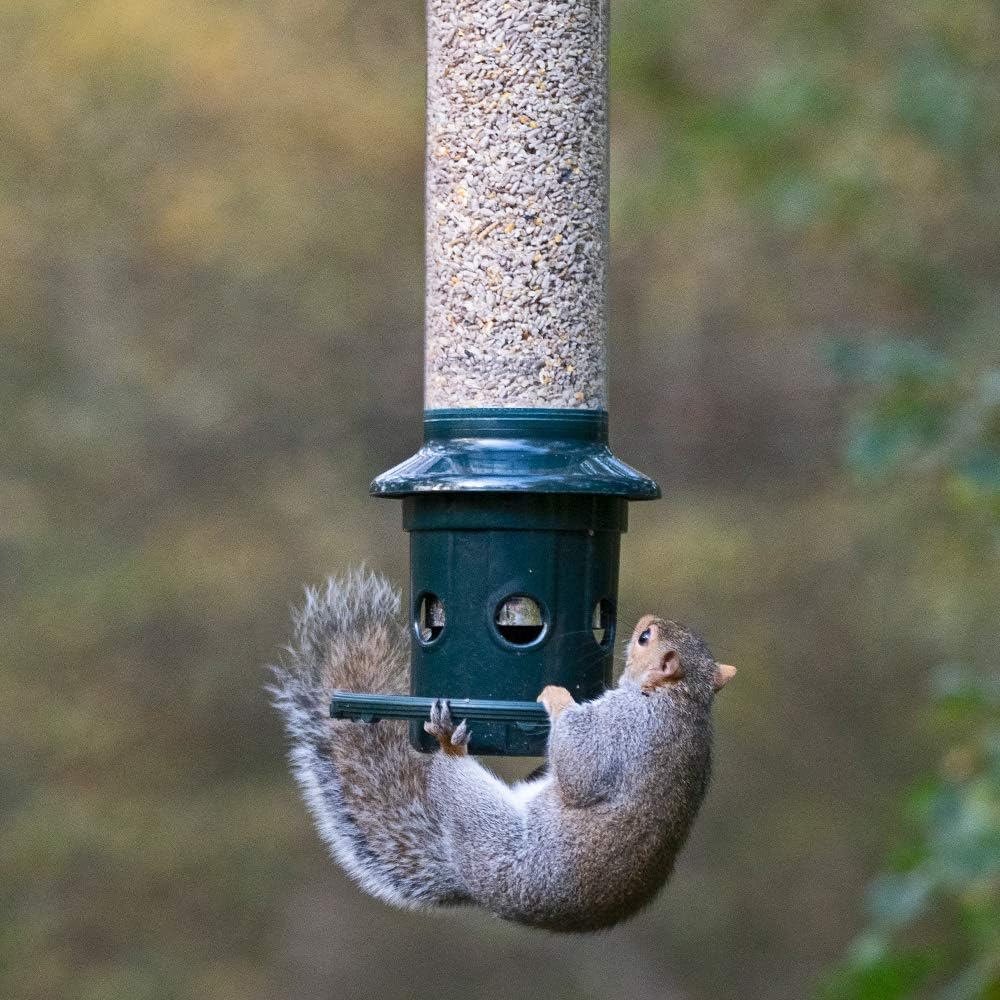 Squirrel Buster Plus Squirrel-proof Bird Feeder w/Cardinal Ring and 6 Feeding Ports, 5.1-pound Seed Capacity, Adjustable, Pole-mountable (POLE ADAPTOR SOLD SEPARATELY), Green : Garden & Outdoor