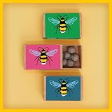 Seedball Bee Mix Wildflower Seed Bombs Pack of 3, 18 Balls UK Native view 8