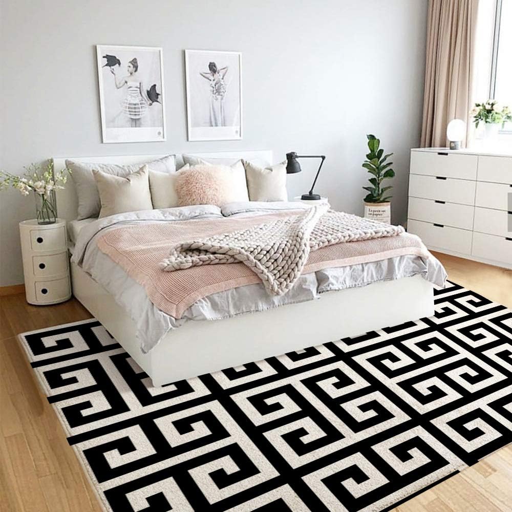 DARREOO Floor Mat,Non Slip Rug Mat,Classy Greek Key Black,Floor Rug Mat,Bedside Rugs,Floor Mats,Living Room Carpet,2.9'×3.9'