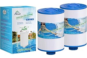 TOREAD FC-0359 SPA Filter Replacement for Unicel 6CH-940, PWW50P3(NOT PWW50P4), 817-0050, 25252, 03FIL1400, 1 1/2" SAE Thread Screw in Filter, 2 Pack