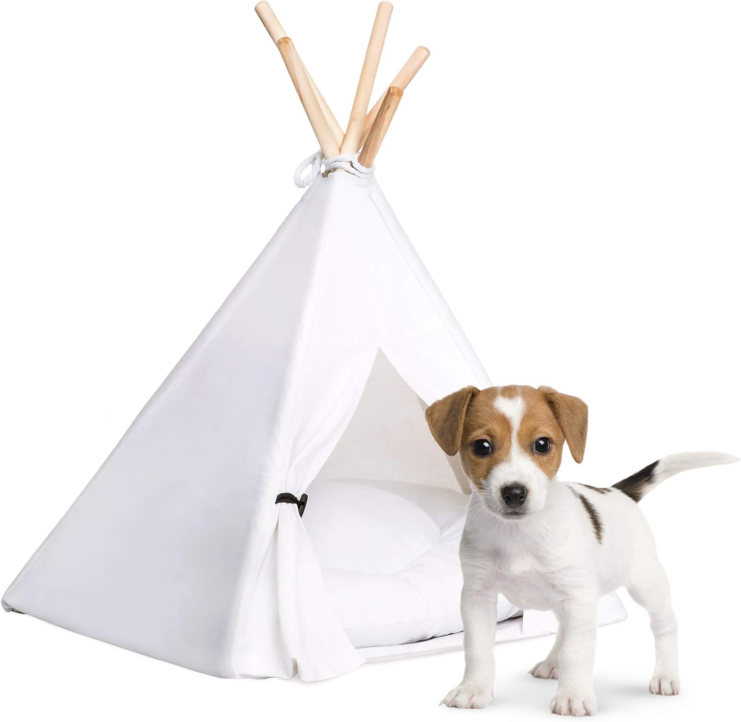 puppy tent bed