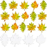 Watersay 100 Pcs Color Diffusing Paper Leaves, Fall Leaf Cutouts for Kids | 4 Styles Maple Leaves Cutout, Watercolor Arts in Classroom Bulletin Board, Autumn Crafts Activities with Children DIY