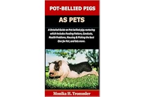 Pot-Bellied Pigs as Pets: A Detailed Guide on Pot bellied pigs nurturing which Includes Feeding Pattern, Conducts, Health Pro