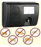 Ultraschall Vertreiber gegen Marder, Hunde, Katzen und andere Tiere mit