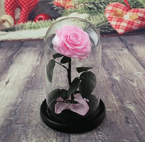 Amazon プリザーブドフラワー 枯れない花 生花 フワラー プリザーローズ リボン付き 一輪 母の日 記念日など プレゼント 永遠に続く幸せ花 ピンク プリザーブドフラワー オンライン通販