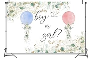 Boy or Girl Backdrop Watercolor Green Leaves Blue or Pink Balloons Gender Reveal Backgrounds Botanical Eucalyptus Gender Reve