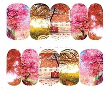 Amazon Com 1 Pack Colorful Fall Season Tree Red Maple Leaf Nail Art