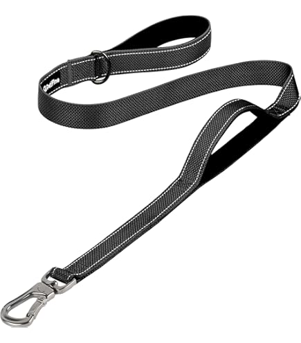 Correa Corta Para Perro De Nailón Reforzado - 30 Cm De Largo, Con Mango Acolchado Y Reflectante, Para Perros Medianos Y Grandes