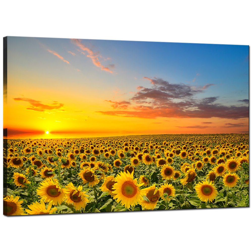 Sea Charm Sunflower Canvas Wall Art Warm Color Sunrise in The Field Landscape Painting Picture Print Art for Living Room Decor,Framed and Ready to Hang