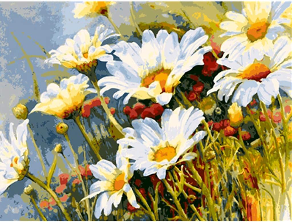 HDGTSA DIY Painting by Numbers for Adults,Brushes and Acrylic Pigment Canvas Painting,Paint by Number Kit On Canvas for Beginners(J,16 x 20 inch)