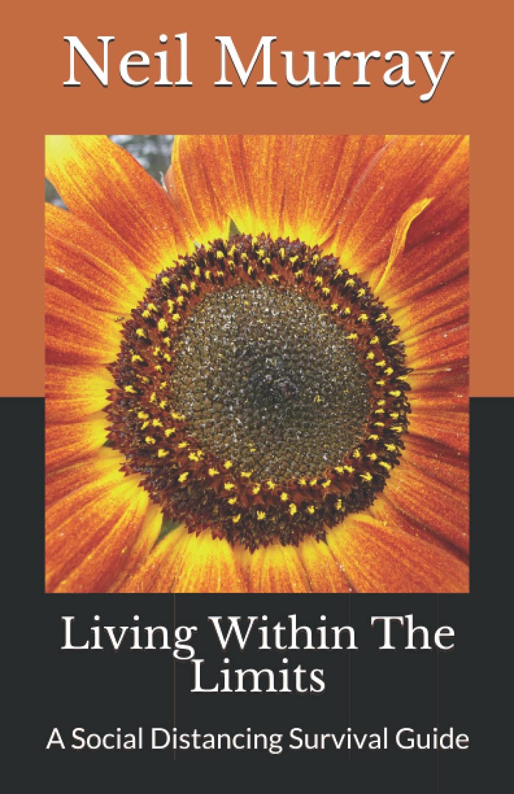 Living Within The Limits: A Social Distancing Survival Guild