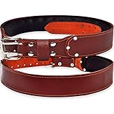 AP LEATHER Pro-501 Oil Tanned Leather Tool Belt for 30" to 52" Waist, Premium Leather with 4MM thickness Tool Belt Padded