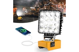 ZORDIN LED Work Light for Dewalt 20V Battery, 48W 4800LM Protable LED Flood Light, 6500K Cordless Flashlight, Low Voltage Protect, USB & Type C Charging Port Lihghting Tools for Job Site and Outdoors