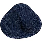 ALFPAF - Evolution of the Color – Professional Permanent Hair Color Cream with Hyaluronic Acid & Advanced Pigment Technology – Long-Lasting, PPD-Free Color – 2.05 oz/60 g (1.11 Blue Black)