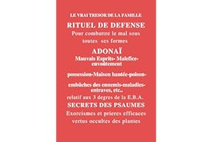 RITUEL DE DÉFENSE: Pour combattre le mal sous toutes ses formes (French Edition)