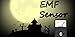 EMF Sensor