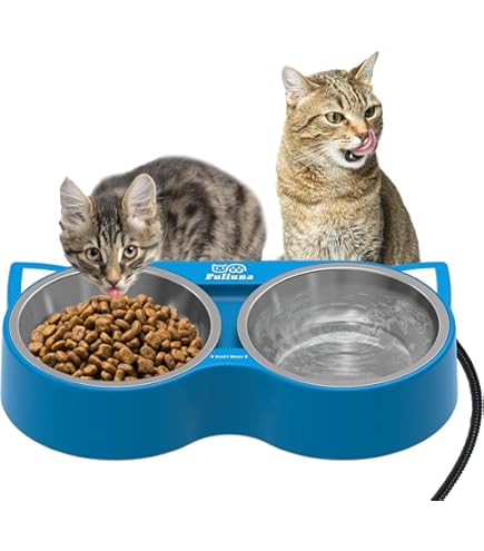 Heated Bowl Heated Cat Bowl, Outdoor Heated Pet Bowl With Double