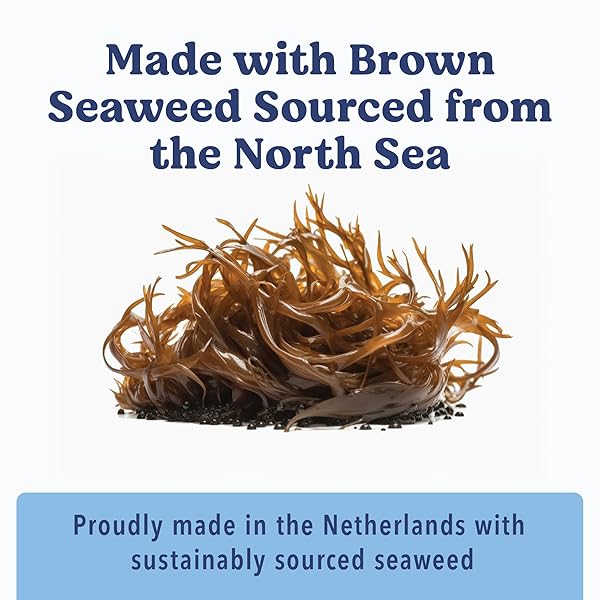 ANGELS’ EYES SEA STICKS MULTI-BENEFIT DAILY DOG TREATS WITH BROWN SEAWEED GUT HEALTH & METABOLIC SUPPORT GRAIN-FREE, GLUTEN-FREE, PLANT-BASED NORTH SEA MEDIUM 12CT