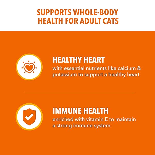 IAMS PROACTIVE HEALTH DRY CAT FOOD, HEALTHY CAT FOOD DRY RECIPE FOR ADULTS, WITH CHICKEN 3.5 LB. BAG