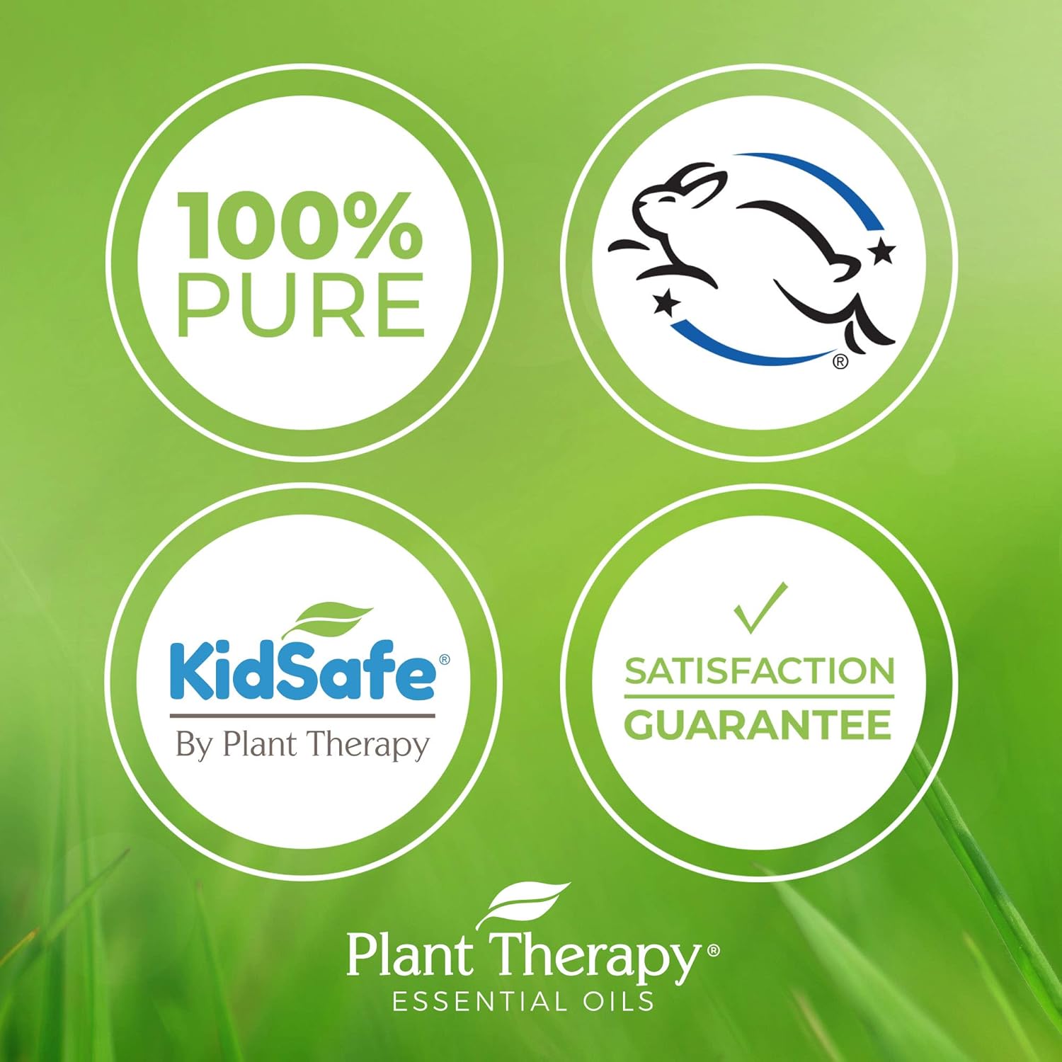 Plant Therapy Bergamot Essential Oil 100% Pure, Undiluted, Natural Aromatherapy, Therapeutic Grade 10 mL (1/3 oz): Beauty