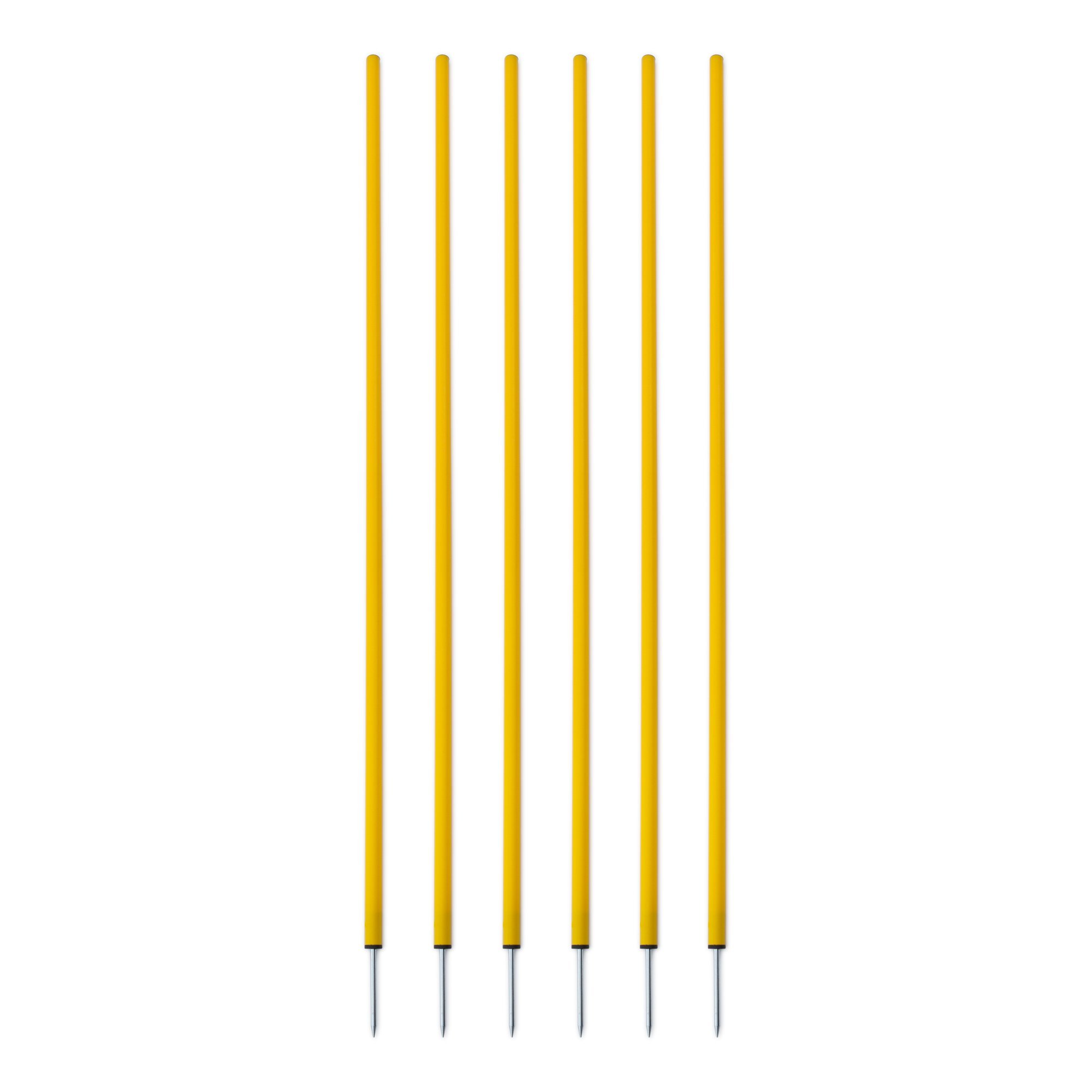 Champion Coaching Sticks (5-Foot)