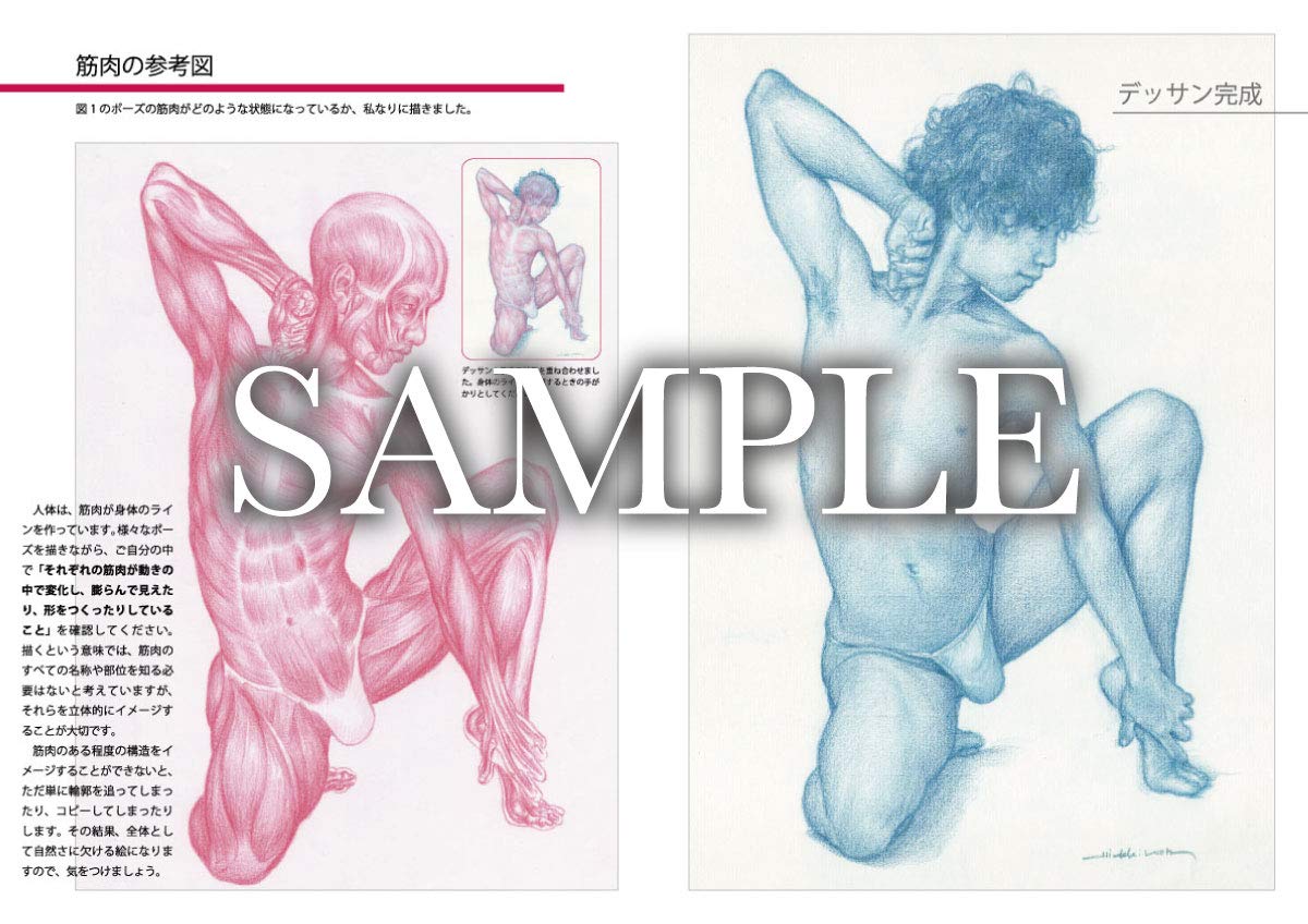 Amazon Fr 甲秀樹 人体デッサン 男性ポーズ集2 Livres