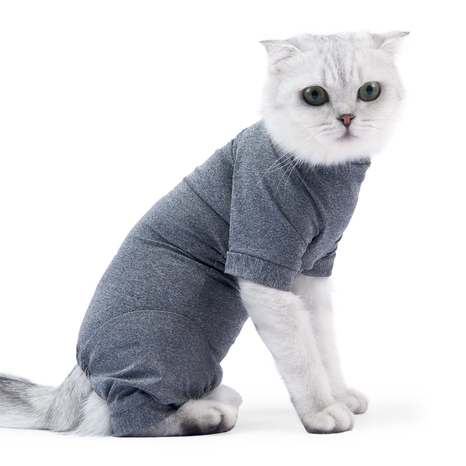 BT Bear Cat Professional Recovery Suit for Abdominal Wounds or Skin Diseases, E-Collar Alternative for Cats and Dogs, After Surgery Wear, Pajama Suit (M,Grey)