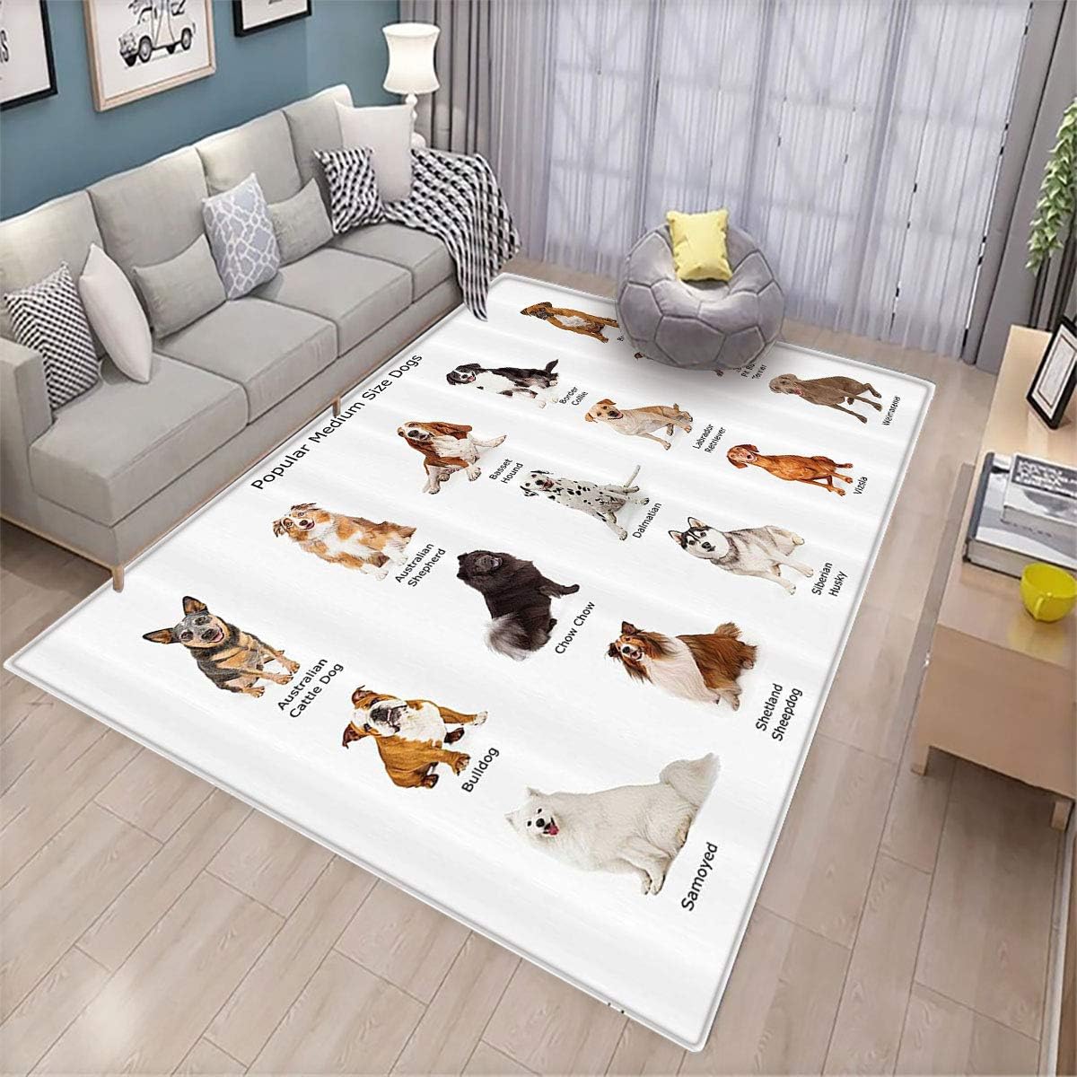 Dog Lover Decor Indoor Floor mat A Group of Different Puppy