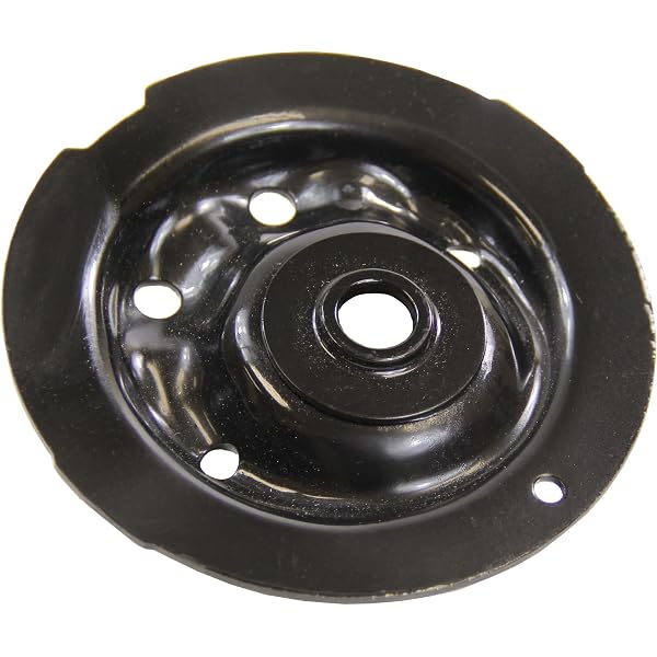 Amazon.com: Monroe Shocks & Struts Strut-Mate 909942 Suspension 