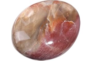 dssmboom Irregular Petrified Wood Crystal Palm Worry Stones for Relaxing Anxiety Stress, Polished Pocket Stone for Meditation Chakra Balancing