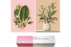 LikeyFactory - 12x16inch 2Packs Paint by Numbers Kit for Adults Kids on Rolled Canvas with Paintbrushes Color Acrylic DIY Premium Quality (Ficus Tineke)